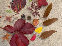 -北京西山国家森林公园