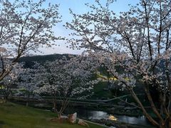 -羊山湖公园