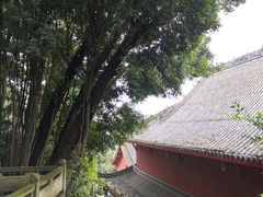 -金堂县云顶石城风景区