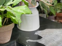 -北马山庄植趣咖啡