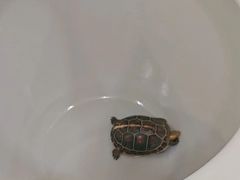 -九忠祥小笼馆(保利时光里店)