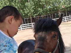 -西部长青自然儿童乐园