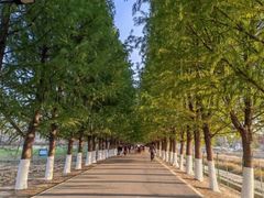 -嘉北郊野公园