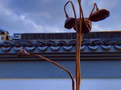 -盒马鲜生(悠方店)