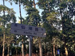 -深圳仙湖植物园