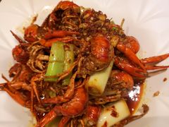 麻辣澳洲小龙虾-虾胡闹·澳洲小龙虾·烧烤(福田鲨鱼店)