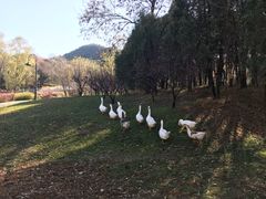 -北京宽沟会议中心