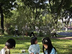 -二沙岛艺术公园