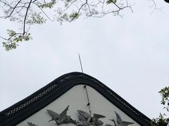 -枫桥景区