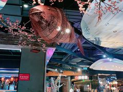 -老板恋上鱼(高新万达店)