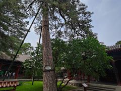 -承德避暑山庄景区