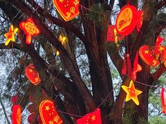 -花溪公园