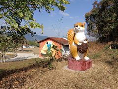 -南丹山森林王国
