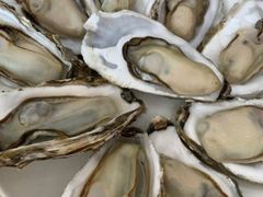 -渡海小渔村.老辈日照菜