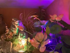 -巢爷老味(东方红店)