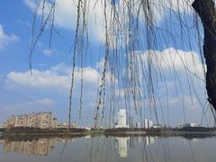 -金银湖国家城市湿地公园