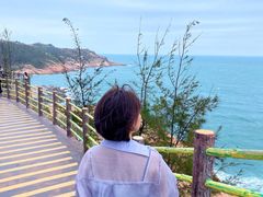 -广东惠东海龟国家级自然保护区