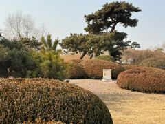 -太阳宫公园
