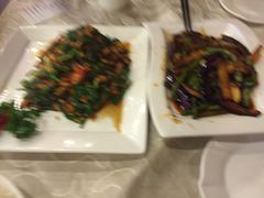 -金龙寨(解西店)