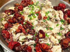 -百岁鱼(七一路店)