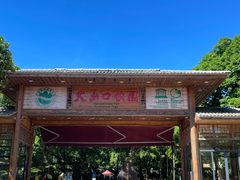 -海口火山口国家地质公园