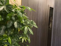 -鹿栖(佛山季华园店)
