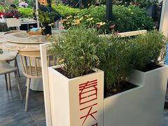 -春天里餐厅·云南创意菜特色美食(束河店)