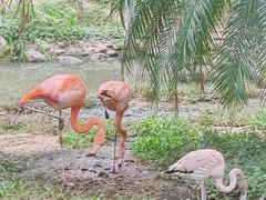 -和信广场(狮山店)