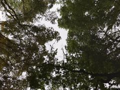 -郑和公园