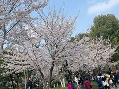 -堤角公园
