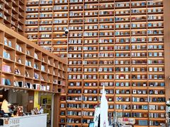 -朵云书院(滴水湖店)