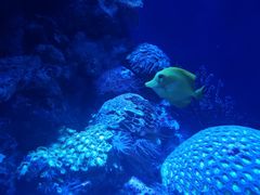 -成都浩海立方海洋公园