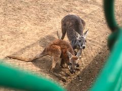 -西安秦岭野生动物园