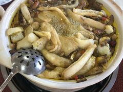 -江川野生菌火锅铜锅鱼(贵清火锅店)