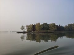 -溱湖国家湿地公园