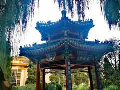 -中国农业博物馆
