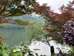 -桃花岭景区
