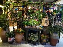 -舌尖上的食缘花园主题餐厅
