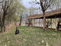 -长兴太湖图影湿地文化园