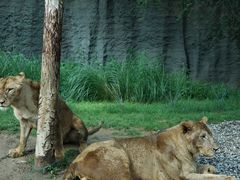 -北京野生动物园