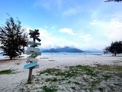 -花海间·即刻露营