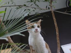 -厦门良筑精品酒店(厦门中山路店)