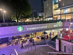 -岭南站NOVA