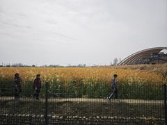 -中国天府农业博览园