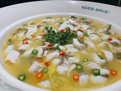 青花椒味砂锅鱼-青花椒花椒鱼(合生汇店)