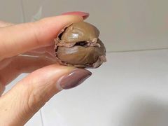 -高记福桂桂花糖炒栗(鼓楼店)