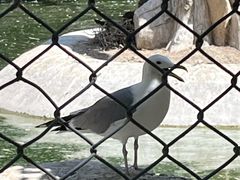 -石家庄市动物园