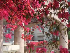 -南方医科大学南方医院(院本部)