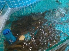-蓝珊甄选海鲜自助·火锅大排档(近阿那亚店)