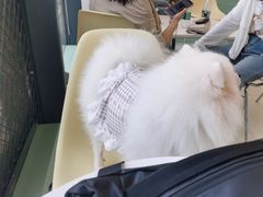 -怪兽屋·羊驼·猫咖·狗咖(俊华广场店)